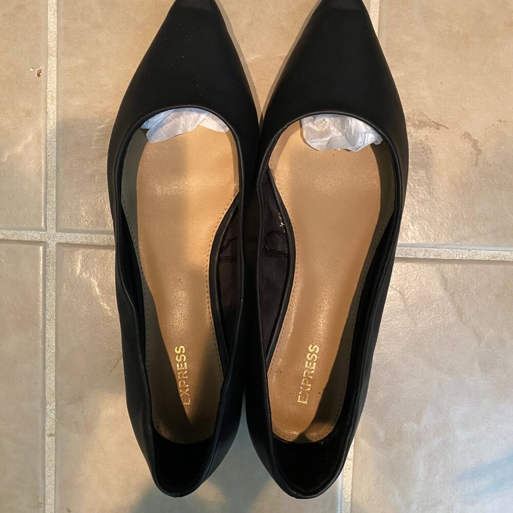Express pointed toe flats, never worn!
